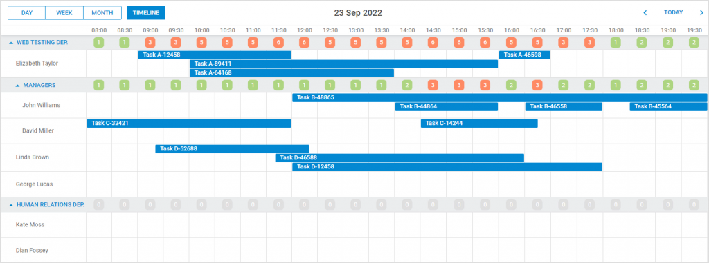 Timeline view with custom content