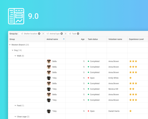 v9.0 with data grouping, custom stats functions and summaries