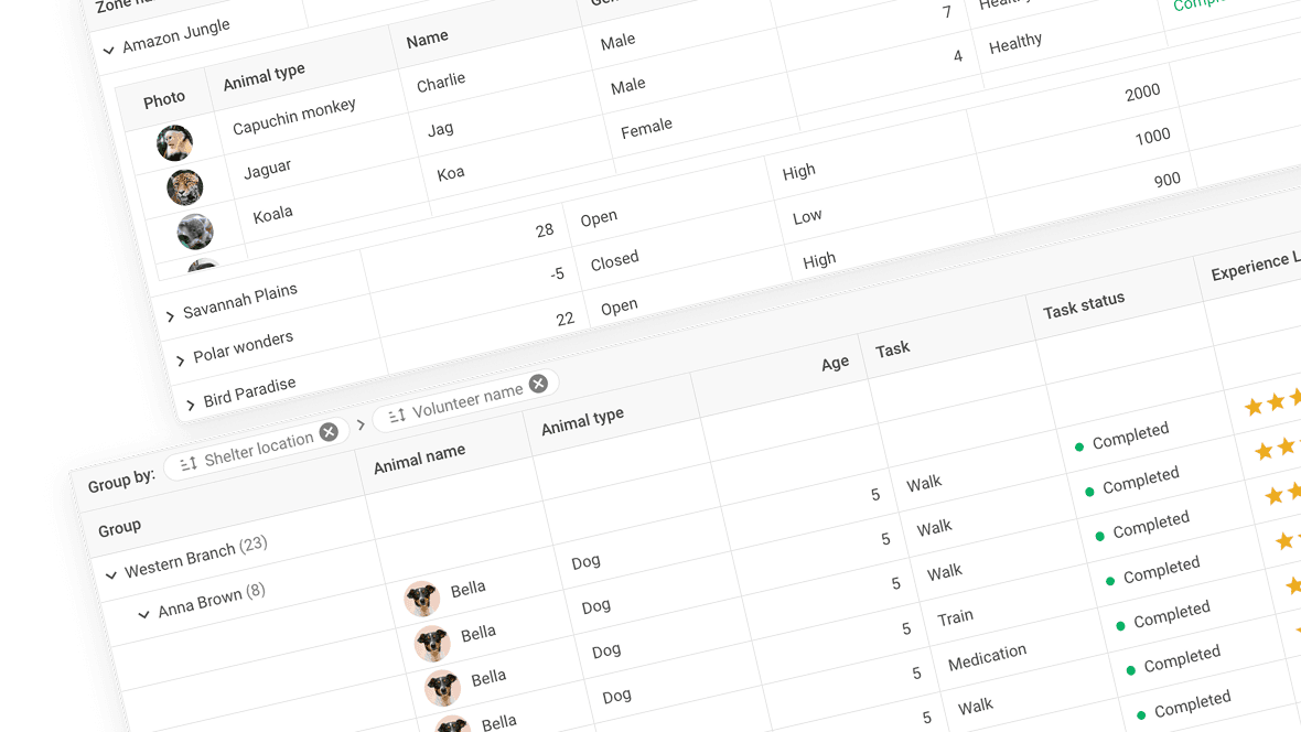 Rich hierarchical and nested data management